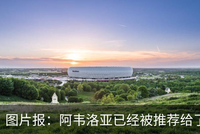 图片报：阿韦洛亚已经被推荐给了勒沃库森，但没有得到积极回复