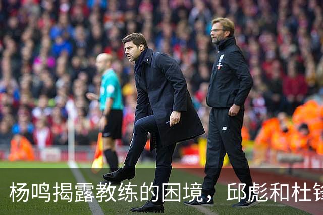 杨鸣揭露教练的困境，邱彪和杜锋的小团队行为是否成为自保策略？